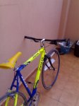 10032008248.jpg