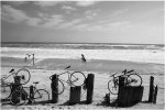 bici19.JPG
