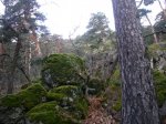 Foto6.JPG