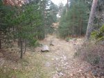 Foto7.JPG