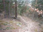 Foto8.JPG