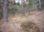 Foto12.JPG