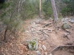 Foto13.JPG