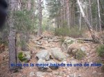 Foto14.JPG