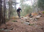 Foto15.JPG