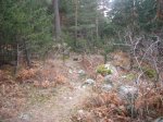 Foto18.JPG