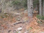 Foto19.JPG