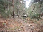 Foto20.JPG