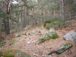 Foto21.JPG