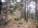 Foto23.JPG