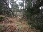 Foto24.JPG