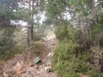 Foto28.JPG