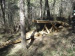 DSC04686.jpg