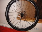 bont 1.jpg