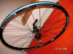 bont 4.jpg