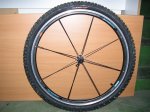 davant mtb (Medium).JPG
