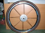 raere mtb (Medium).JPG