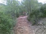 camino cortado.jpg