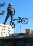 tailwhip xfect.JPG