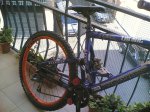 Bici4.jpg