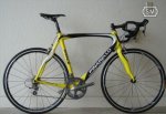 pinrllo.jpg