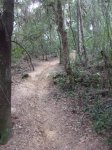 DSCF0449.jpg