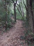 DSCF0450.jpg