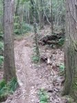 DSCF0458.jpg