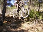 Coto-martes 002.jpg