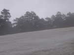 Foto6.JPG