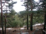 Foto7.JPG