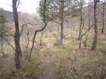 Foto16.JPG