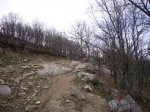 Foto12.JPG