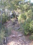 DSCN8969.JPG