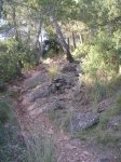 DSCN8971.JPG