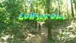 Collserola.jpg