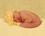 bebes1.jpg