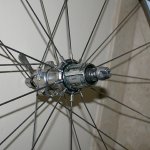 shimano4.jpg