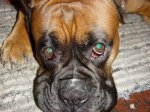 DSC011401.jpg