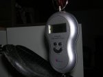 DSCN4550.jpg