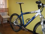 Giant 005.JPG