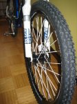 Giant 009.JPG