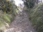 DSCN0960.jpg