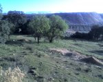 campillo desde arriba.jpg