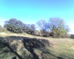 11-03-08_1821.jpg