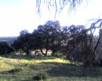 11-03-08_1822.jpg
