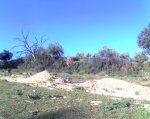 11-03-08_1823.jpg