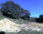 11-03-08_1824.jpg