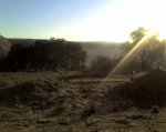 11-03-08_1825.jpg