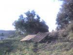 11-03-08_1820.jpg